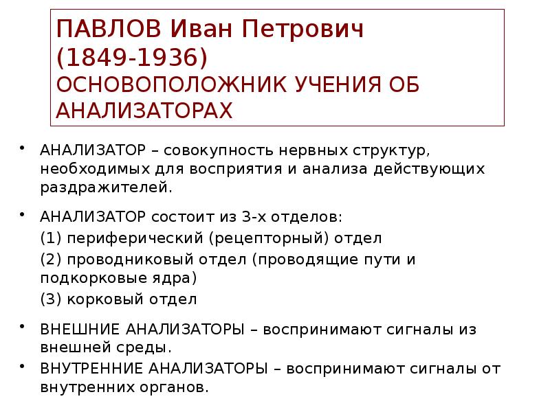 Учение об анализаторах разработано