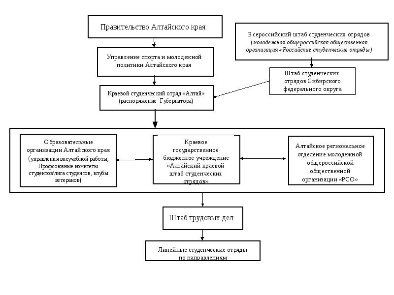 Линейное дело. Структура правительства Алтайского края схема. Схема власти Алтайского края. Структура штабов студенческих отрядов.