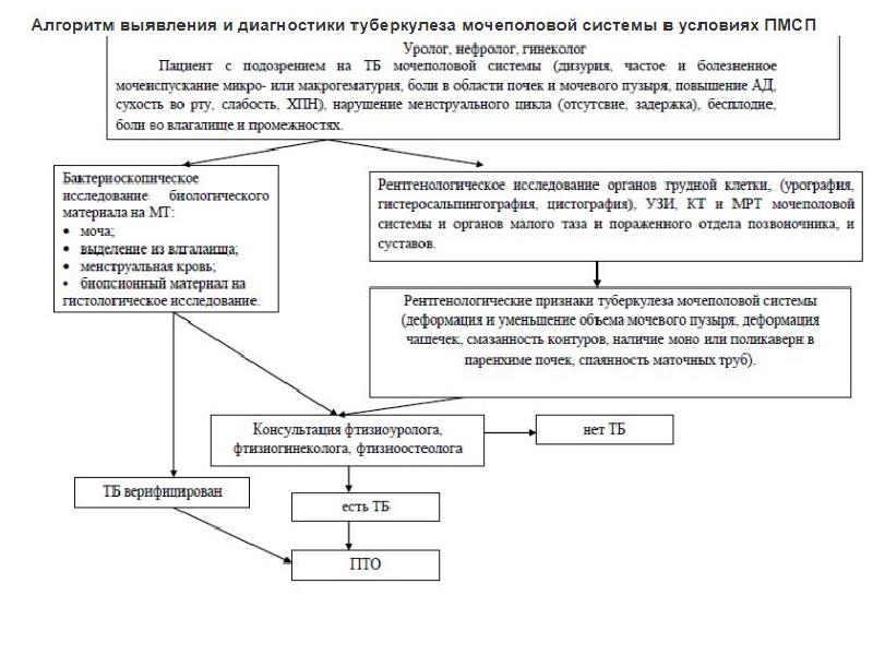 Алгоритм выявления. Таблица алгоритм диагностики туберкулеза. Алгоритм диагностики урогенитального туберкулеза. Алгоритм выявления туберкулеза в учреждениях ПМСП. Схема урогенитального туберкулеза.