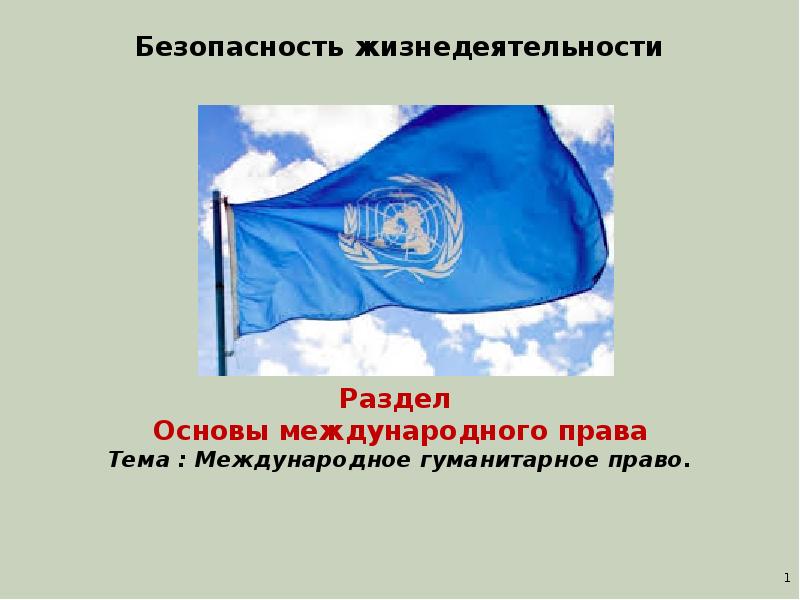 Основы международного. Международного права презентация. Презентация по Международному праву. Основы международного права. Основы международного права презентация.