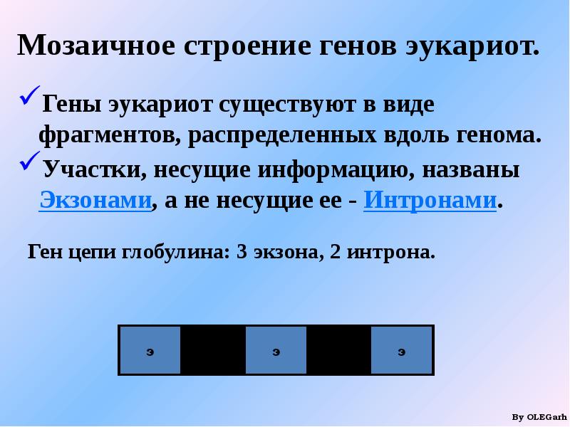 Строение генов. Мозаичное строение генов эукариот. Строение мозаичного Гена. Мозаичность структурных генов эукариот (экзоны и интроны). Теории мозаичного строения генов эукариот.