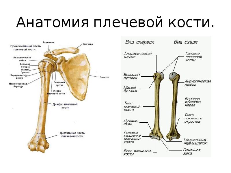 Презентация переломы костей