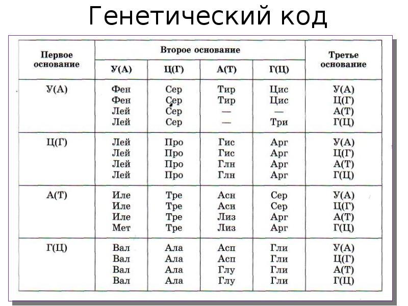 Презентация по биологии 10 класс генетический код