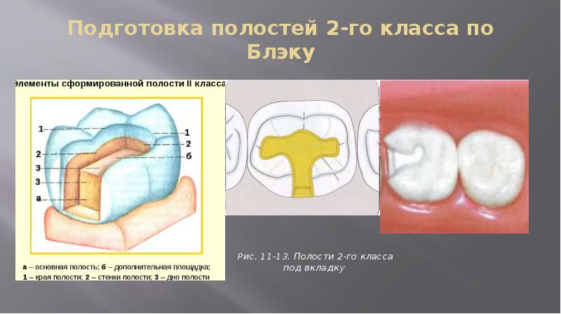 4 класс по блэку презентация