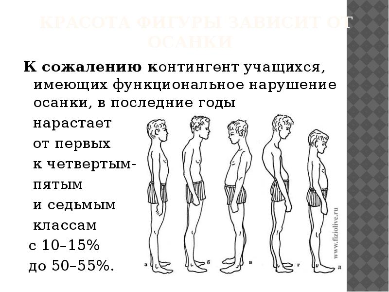 Коррекция осанки и телосложения презентация