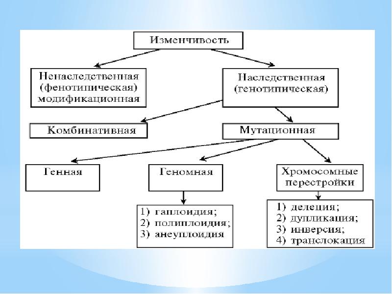 Основы генетики проект 9 класс