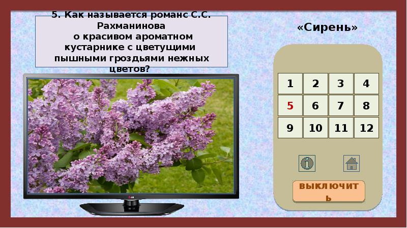 Нарисовать иллюстрацию к романсу сирень с в рахманинова