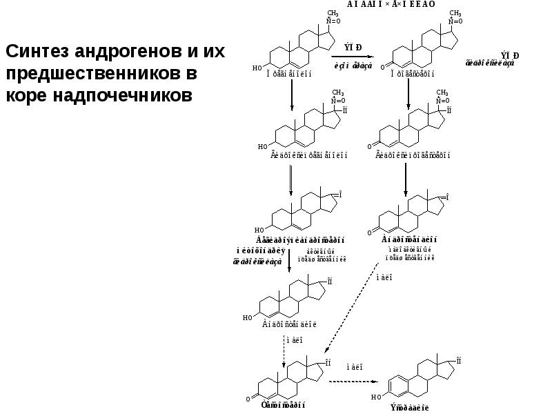 Гормоны надпочечники тестостерон