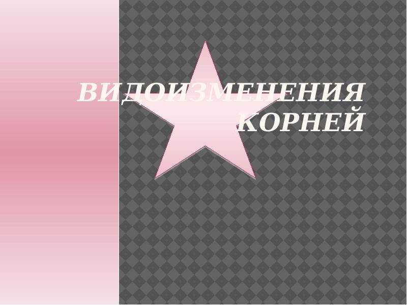 Видоизменения корней Видоизменения корней