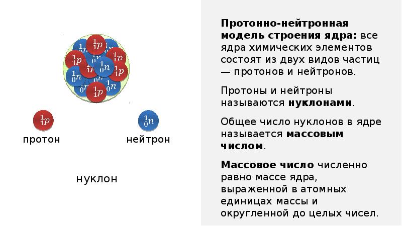 Автор модели ядра 6 букв