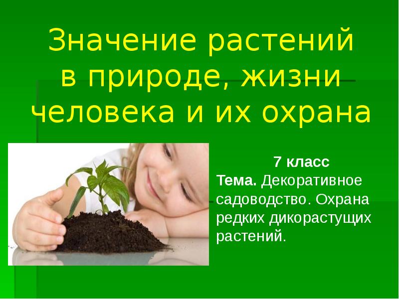 Роль человека в саду. Растения в жизни человека. Роль растений в жизни человека. Значение растений в природе и жизни человека. Важность растений в жизни человека.