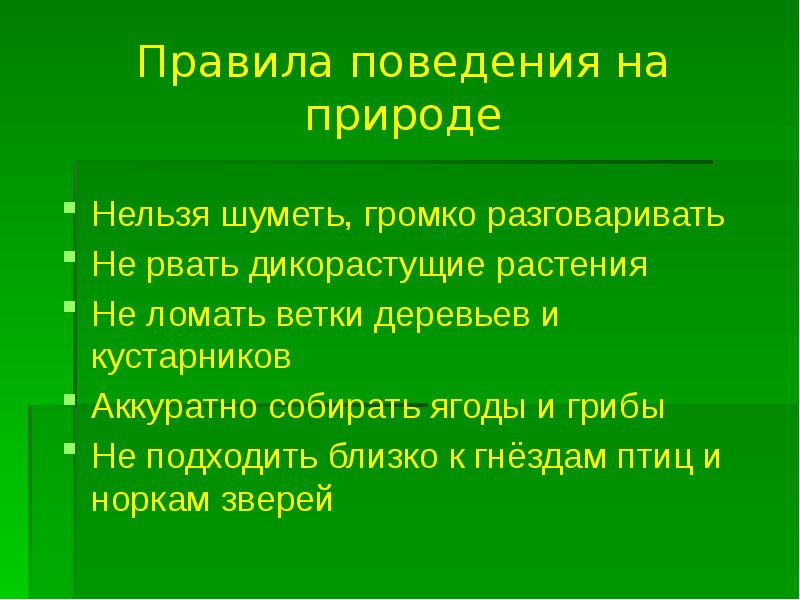 Проект роль растений в природе