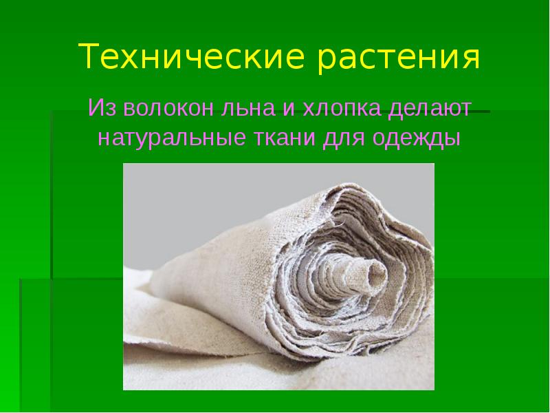 Из какого растения делают ткани. Ткани из растительных волокон. Волокна хлопка и льна. Волокно из хлопка. Натуральные ткани для одежды.