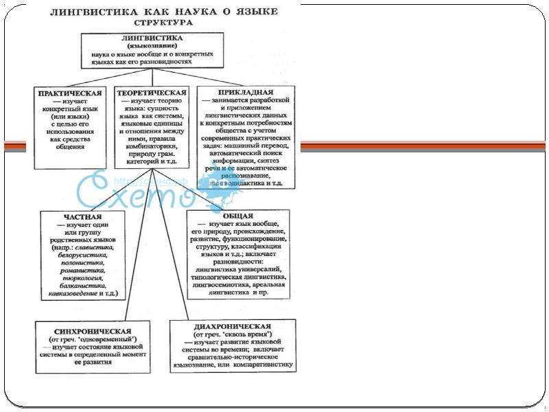 Языкознание в таблицах и схемах
