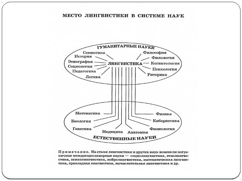 Структурная схема это в языкознании