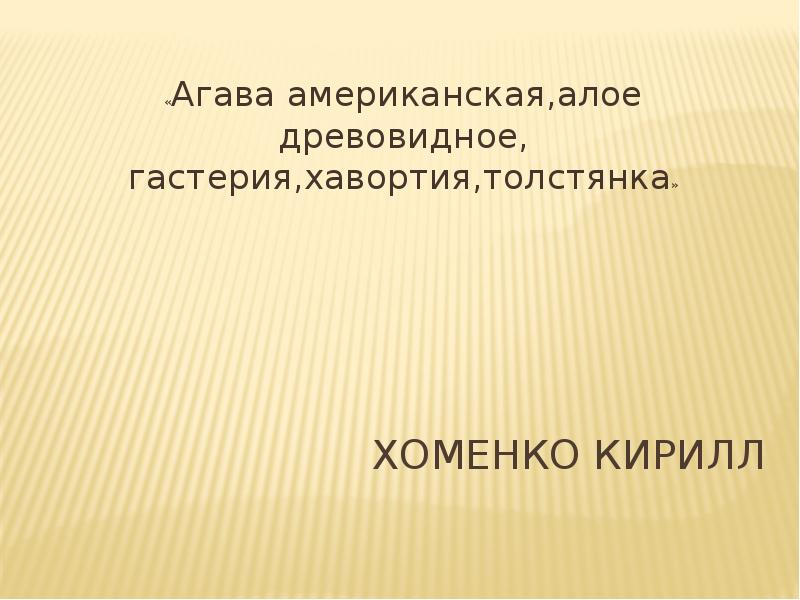 Хоменко Кирилл
«Агава американская,алое древовидное, гастерия,хавортия,толстянка» Хоменко Кирилл
«Агава американская,алое древовидное, гастерия,хавортия,толстянка»