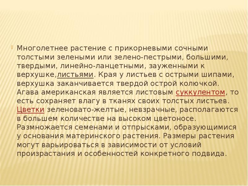 Многолетнее растение с прикорневыми сочными толстыми зелеными или зелено-пестрыми, большими, твердыми, Многолетнее растение с прикорневыми сочными толстыми зелеными или зелено-пестрыми, большими, твердыми,