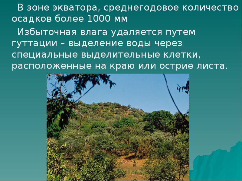 Природные зоны от экватора к северу. Среднегодовое количество осадков в Африке. Зона экватора. Осадки на экваторе. Среднегодовое количество осадков в Мексике.