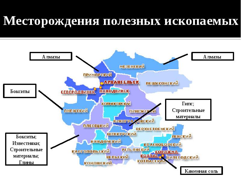 Лесные богатства архангельской области презентация 3 класс