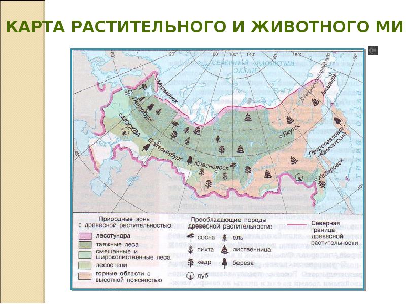 Природные зоны и биологические ресурсы россии карта