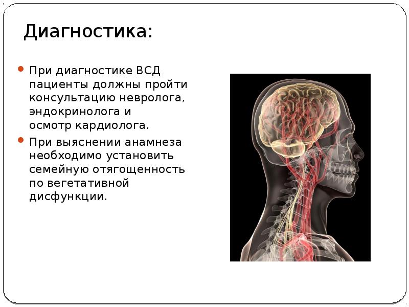 Вегето сосудистая дистония карта вызова смп