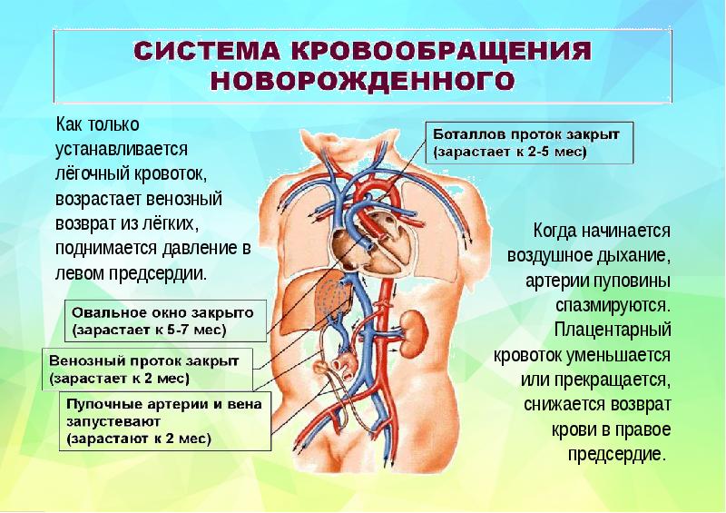 Пограничные состояния новорожденных презентация