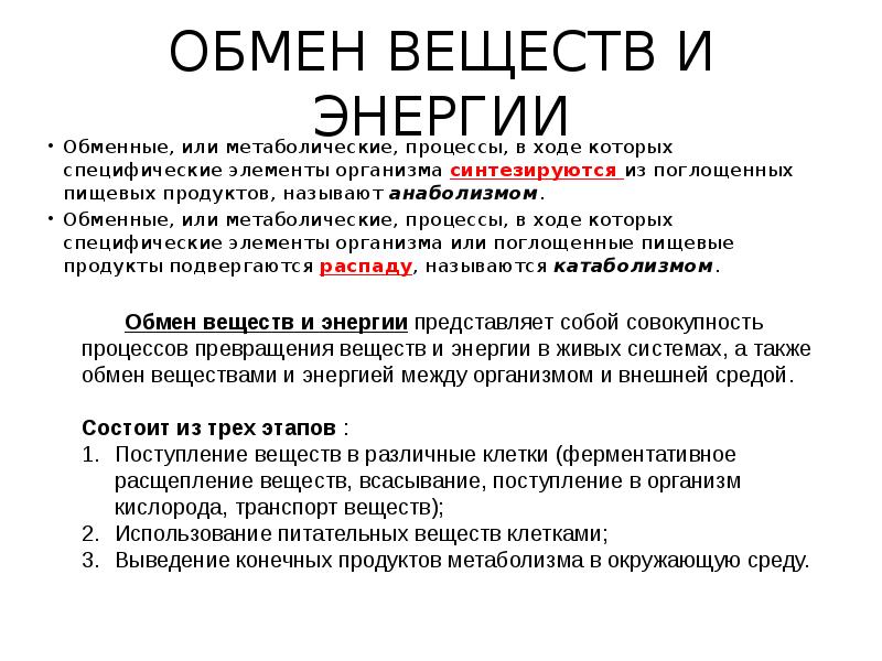 Обмен веществ подростков