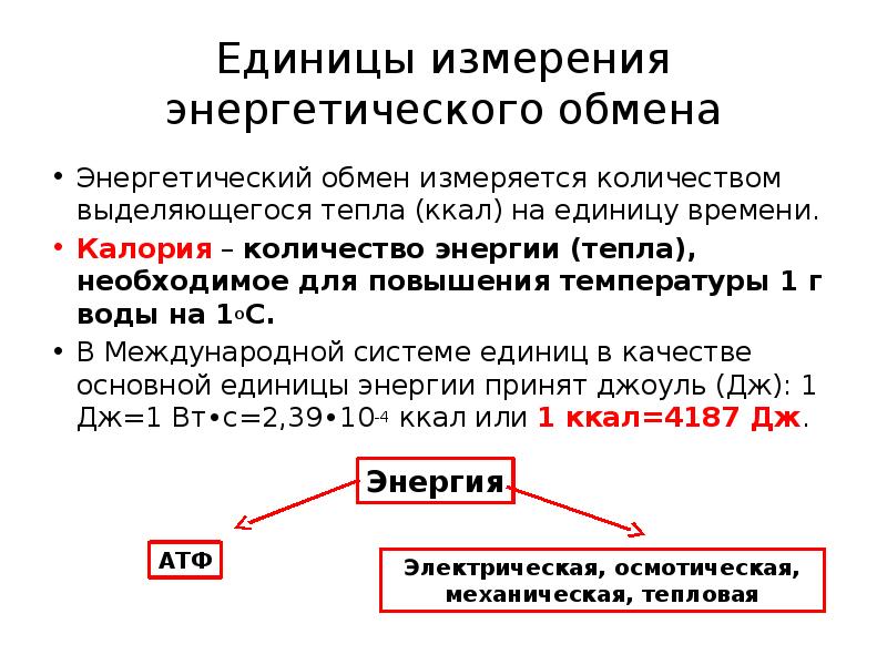 Углевод сколько выделяется энергии