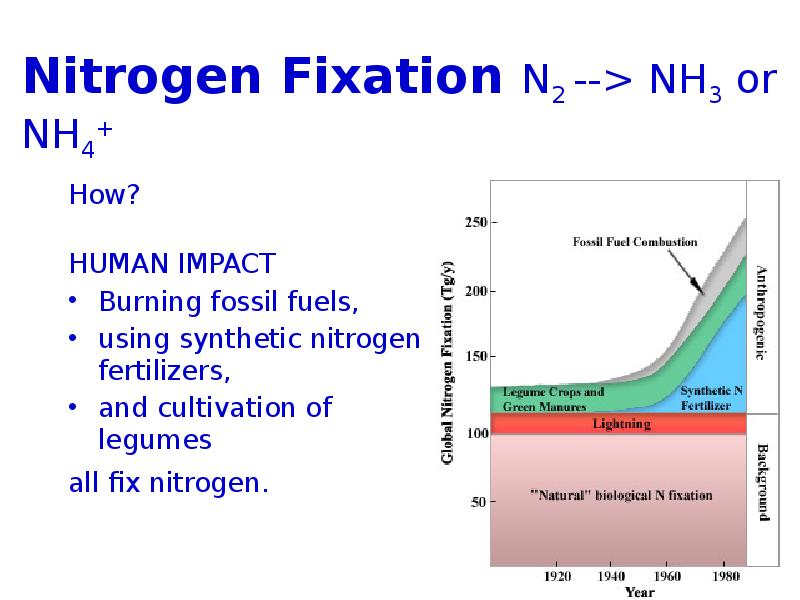 Burn fossil fuels. Nitrogen fixation. Nitrogen для презентации на английском. Азот для презентации на английском. Water Vapor, methane, and Nitrous Oxide..