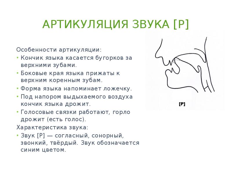 Характеристика звука р в картинках для детей