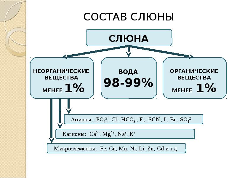 Биохимия слюны презентация