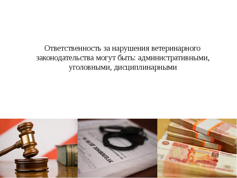 Административная ответственность за нарушение земельного законодательства презентация