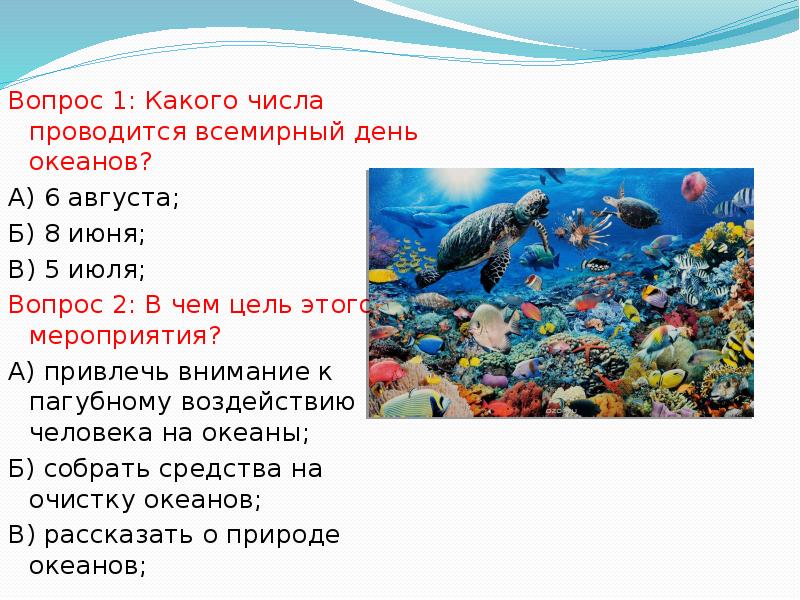 Тихий океан вопросы. День океанов. Всемирный день океана. Какого числа Всемирный день океанов. 8 Июня Всемирный день океанов.