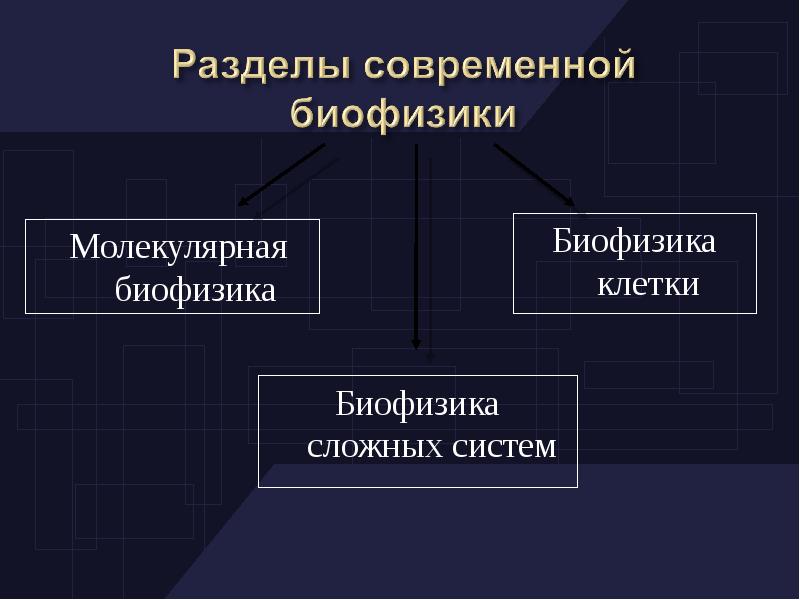 Презентация по биофизике