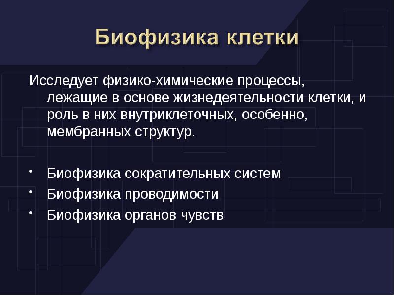 Презентация биофизика человека