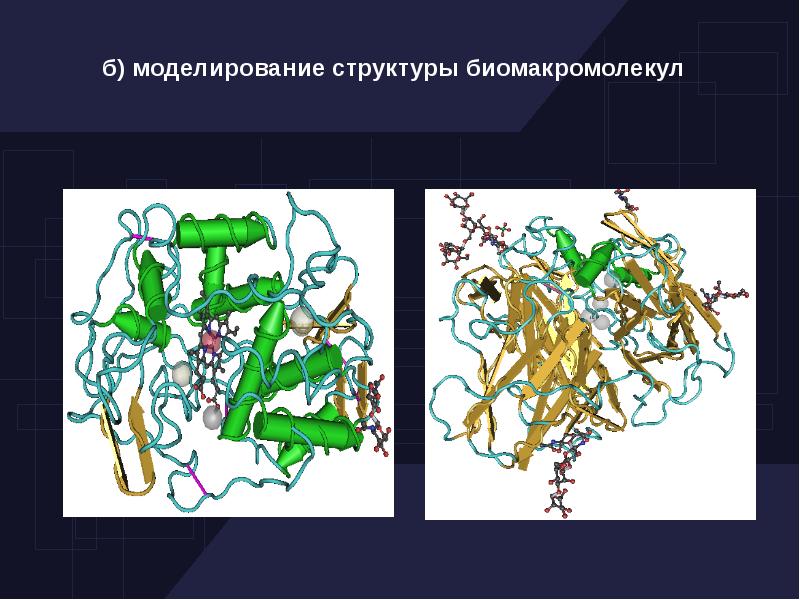 Презентация на тему биофизика