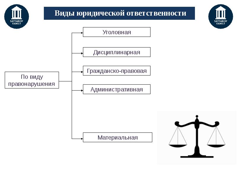 Профессиональное юридическое образование право 11 класс презентация