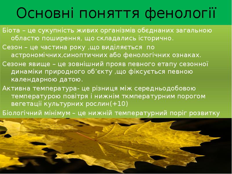 Основні поняття фенології Біота – це сукупність живих організмів обєднаних загальною