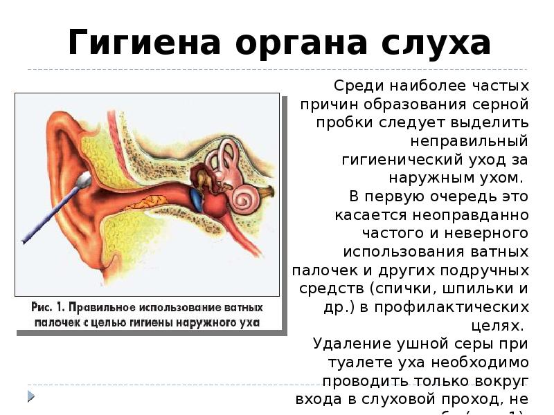 Какое значение уха. Памятку по гигиене органа слуха. Гигиена органов слуха биология 8 класс. Памятка на тему гигиена слуха. Памятка о гигиене уха.
