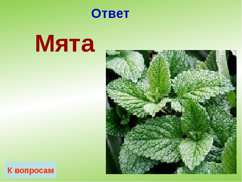 Ответ Ответ