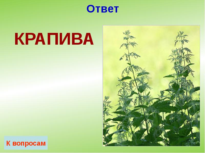 Ответ Ответ