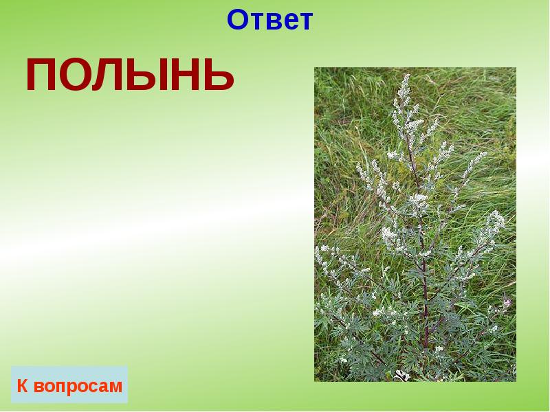 Ответ Ответ