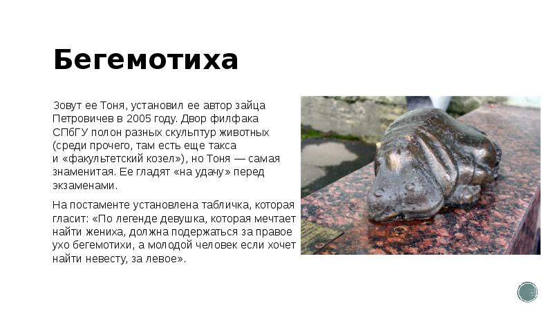 Бегемотиха
Зовут ее Тоня, установил ее автор зайца Петровичев в 2005 году. Двор филфака Бегемотиха
Зовут ее Тоня, установил ее автор зайца Петровичев в 2005 году. Двор филфака