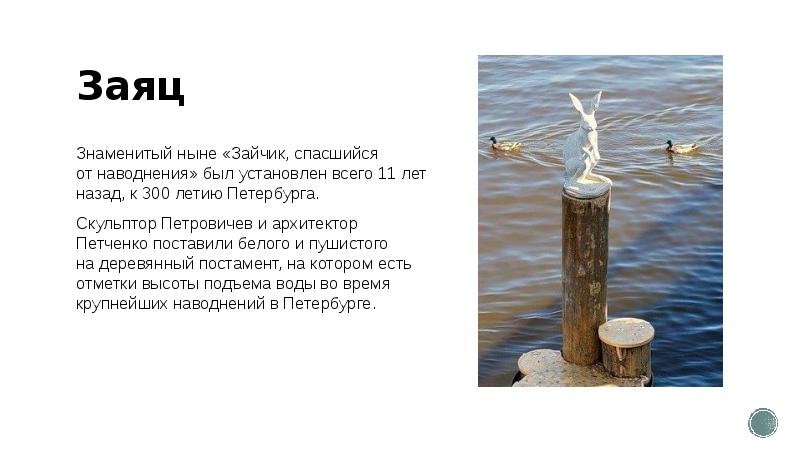 Заяц
Знаменитый ныне «Зайчик, спасшийся от наводнения» был установлен всего 11 лет Заяц
Знаменитый ныне «Зайчик, спасшийся от наводнения» был установлен всего 11 лет