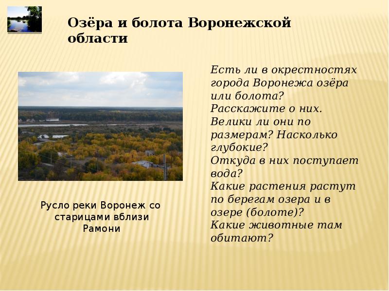 Болота география 6 класс. Болота Воронежской области. Торфяники Воронежской области.