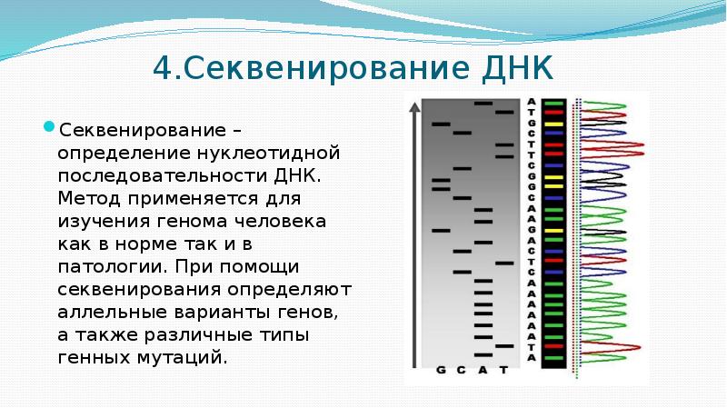 Секвенирование нуклеотидов. Секвенирование ДНК. Методы секвенирования ДНК. Секвенирование это метод. Генетическая карта человека.