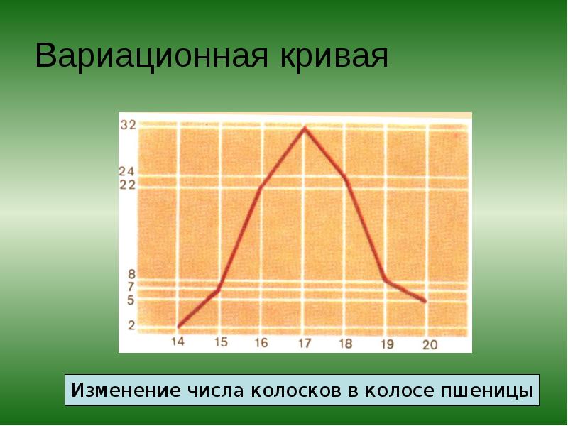 Вариационная кривая Вариационная кривая
