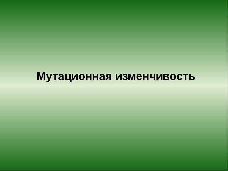 Мутационная изменчивость Мутационная изменчивость