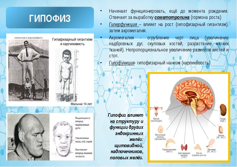 Болезням нет проект