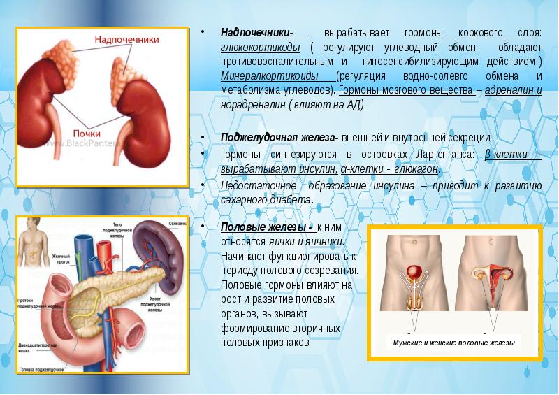 Болезни эндокринной системы презентация